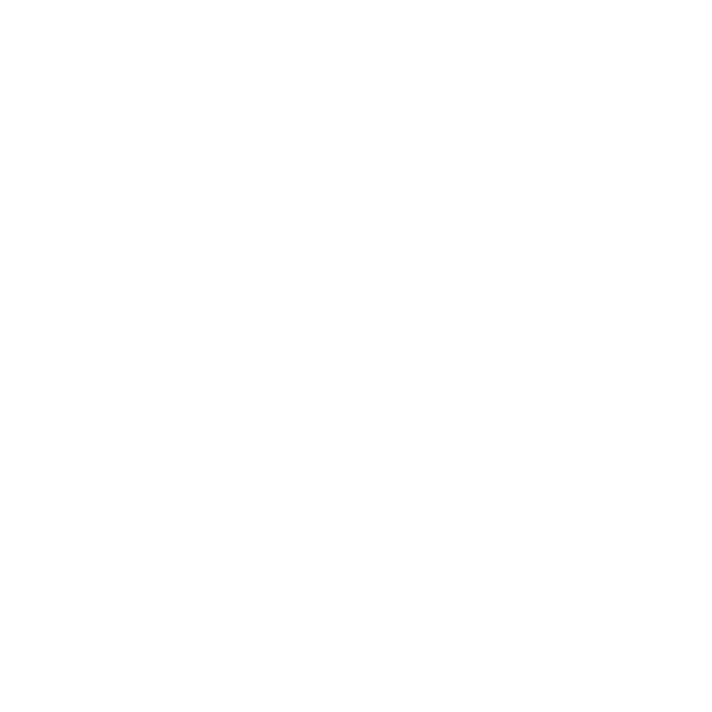 Gemini Logo